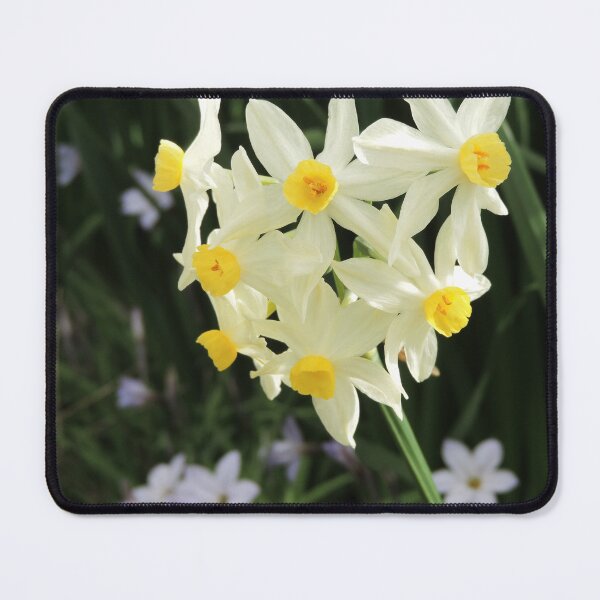 Item preview, Jonquils in Spring designed and sold by Marilyn Harris.