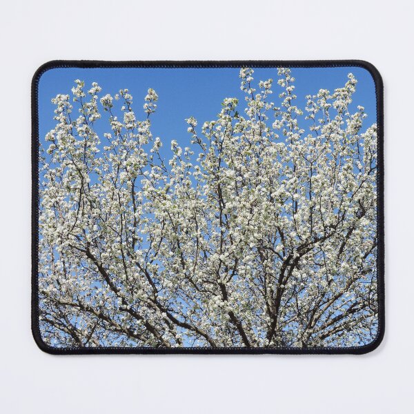 Item preview, Ornamental Pear Tree in Bloom designed and sold by Marilyn Harris.