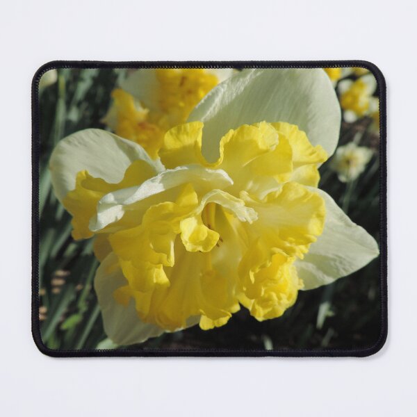 Item preview, Double Hybrid Daffodil designed and sold by Marilyn Harris.