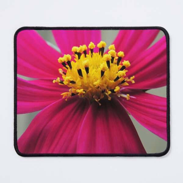 Item preview, Beautiful Cosmos designed and sold by Marilyn Harris.