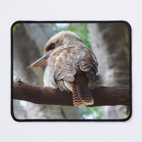 Item preview, Australian Kookaburra (Dacelo novaeguineae) designed and sold by Marilyn Harris.