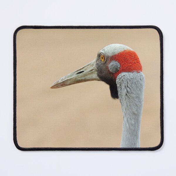 Item preview, Brolga (Grus rubicunda) designed and sold by Marilyn Harris.