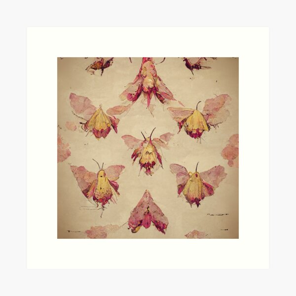 Rosy maple moth, an art print by pikaole - INPRNT