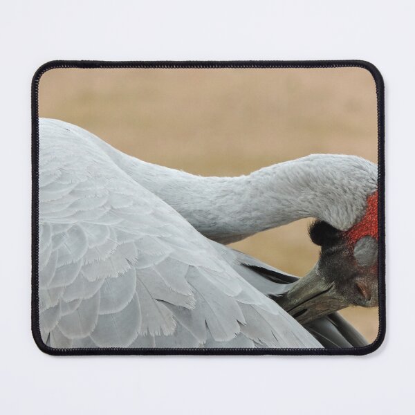 Item preview, Brolga - Longreach, Outback Queensland designed and sold by Marilyn Harris.