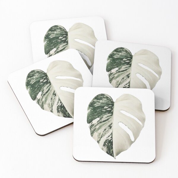 Item preview, Hoja de Monstera Albo designed and sold by Typical-Turd.