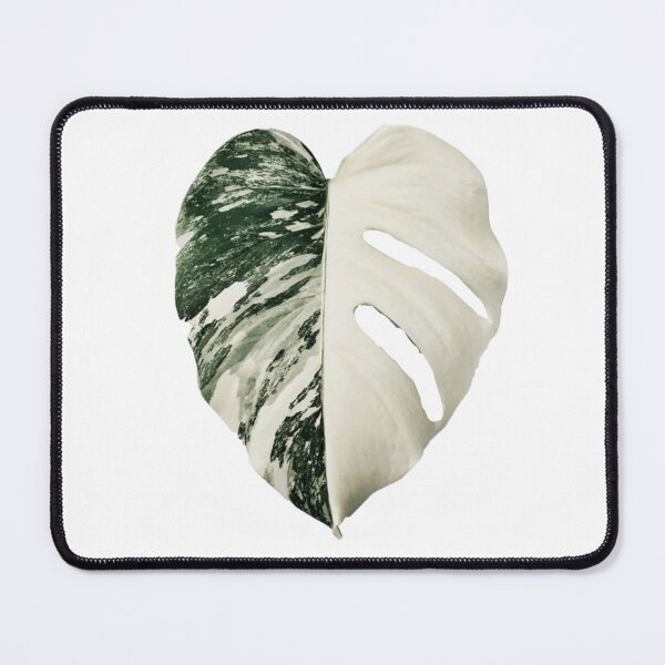 Item preview, Monstera Albo Leaf designed and sold by Typical-Turd.
