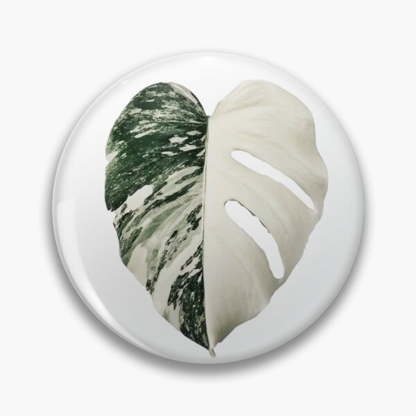 Item preview, Monstera Albo Leaf designed and sold by Typical-Turd.