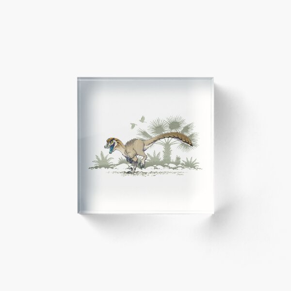Troodon Acrylic Block