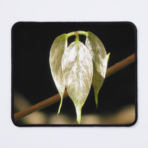 Item preview, The Symmetry of Golden Leaves designed and sold by Marilyn Harris.