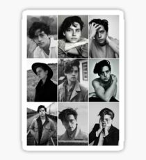cole sprouse black and white aesthetic collage Sticker