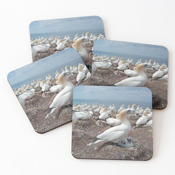 Item preview, Gannets and Baby Heligoland designed and sold by gesa118.