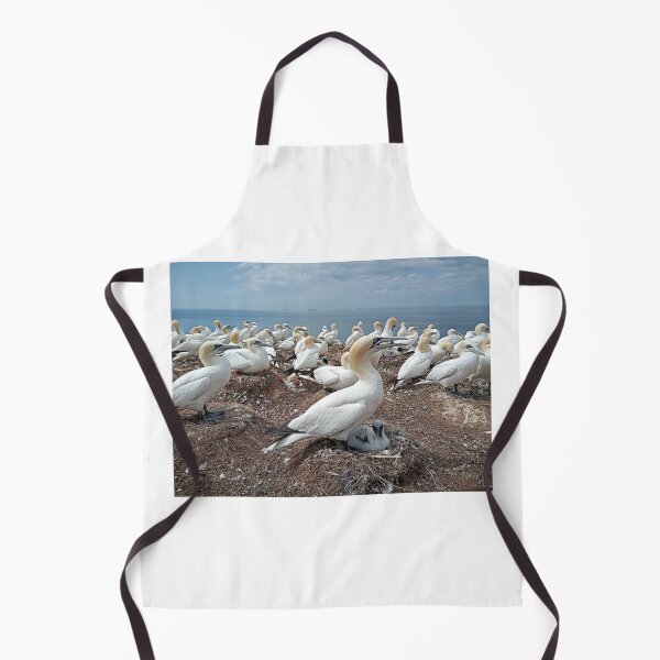 Item preview, Gannets and Baby Heligoland designed and sold by gesa118.