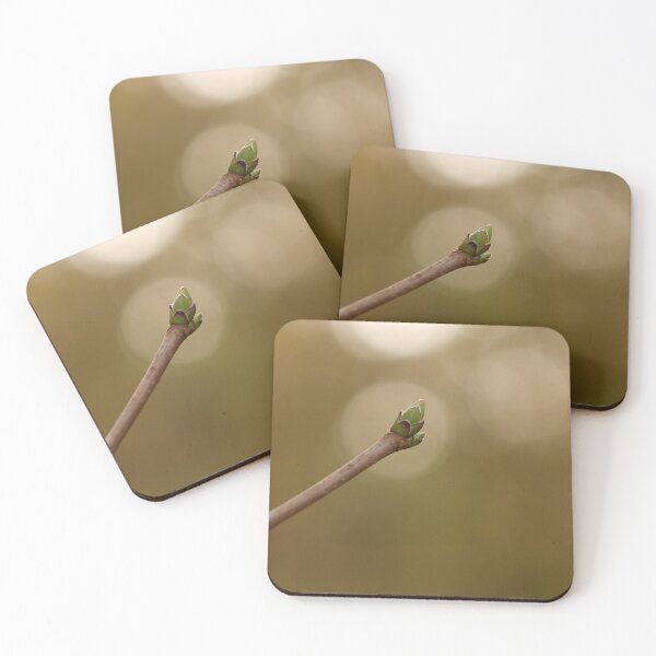 Item preview, Photo of an autumn bud - nature's birth in brown and green designed and sold by PausePapote.
