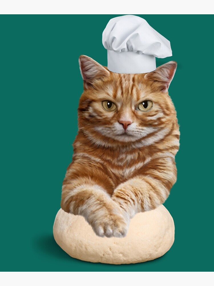 Cat Kneading Why Do Cats Make Biscuits? Cornerstone, 55 OFF