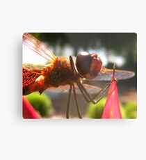 carrier Metal Print