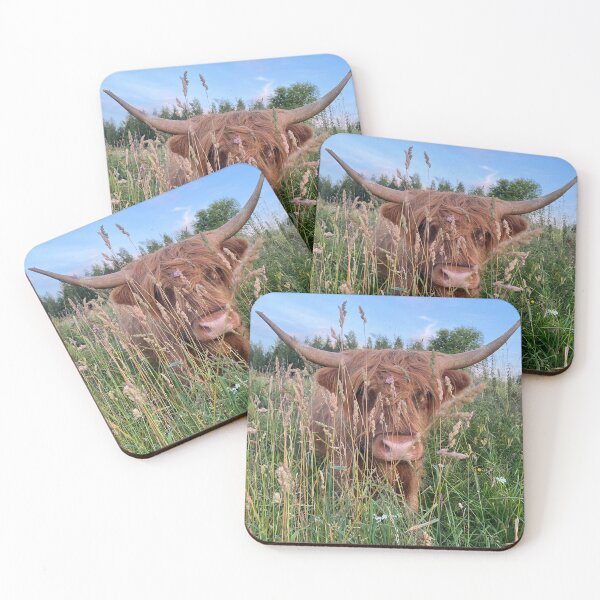 Artikelvorschau, Scottish Highland Cattle Cow 4012 entworfen und verkauft von SaarelaHighland.