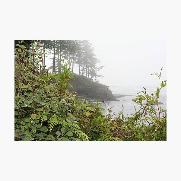 Item preview, "A Foggy Day Along The Coast" designed and sold by Lynn Bawden.