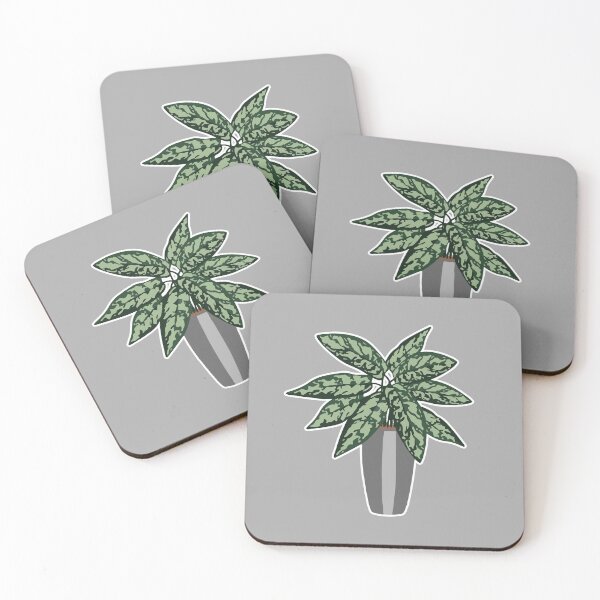 Item preview, Aglaonema Calathea Evergreen Indoor Plant  designed and sold by PodiShawna.