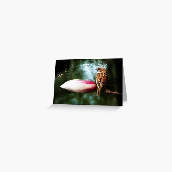 Bathing...InSunMeditation Greeting Card