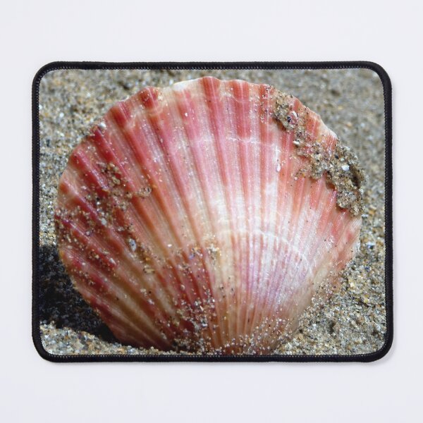 Item preview, shell designed and sold by KathleenDawson.