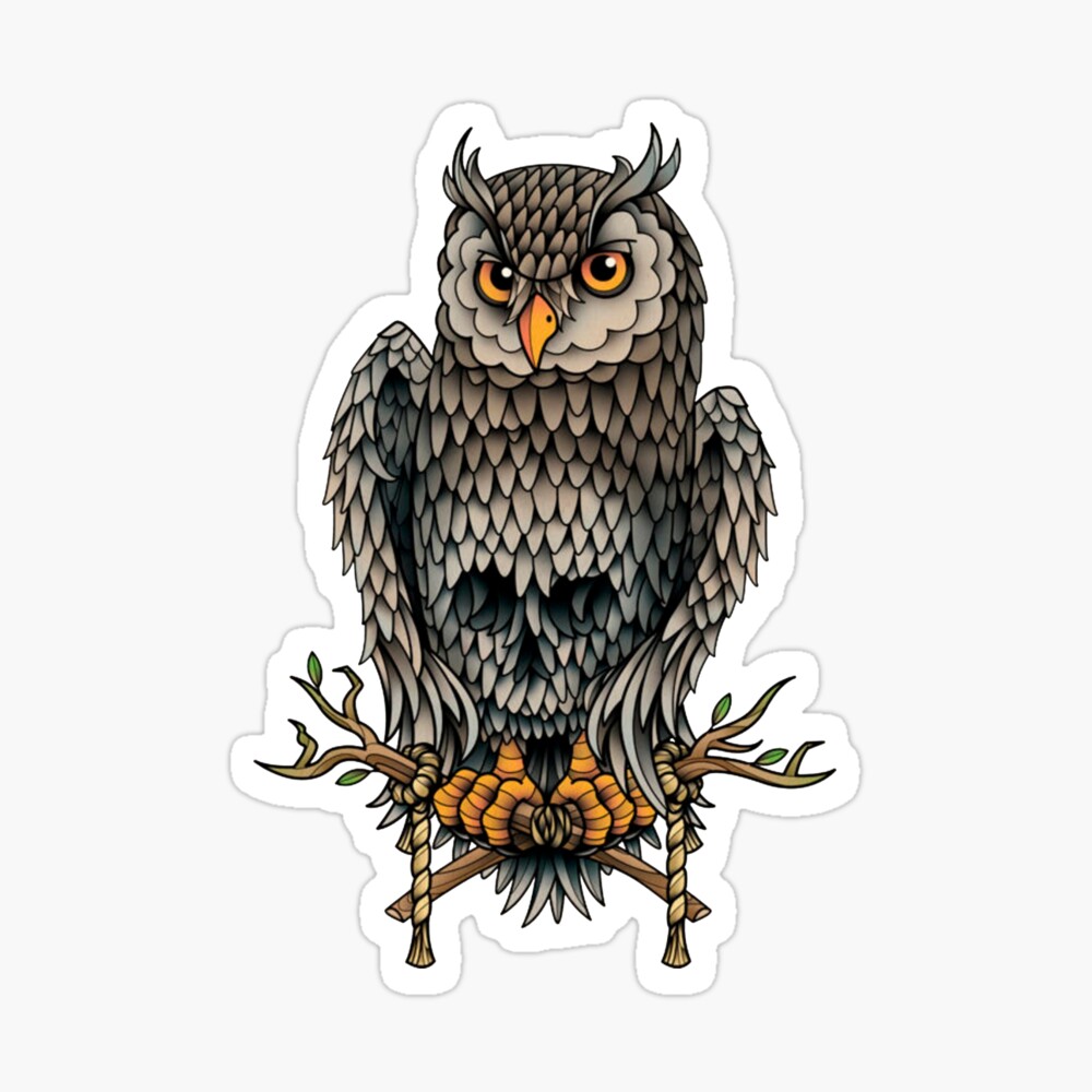 Owl With Skull Tattoo  Tat2o
