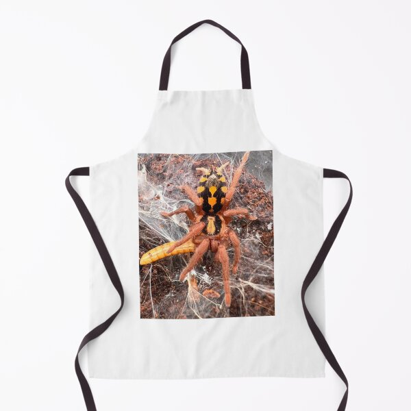 Item preview, Hapalopus Colombia/Pumpkin Patch Tarantula designed and sold by CyriocosmusE.