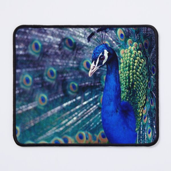 Item preview, Blue Peacock designed and sold by Erika Kaisersot.