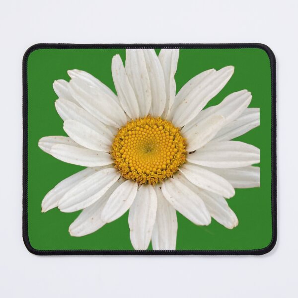Item preview, Daisy theme designed and sold by AndreaCostanza.