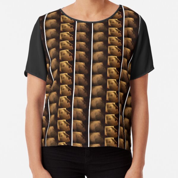 PORTRAIT PHOTOGRAPHY Chiffon Top