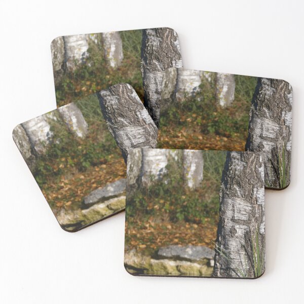 Item preview, Silver Birch, Weilheim, Germany designed and sold by JonDelorme.