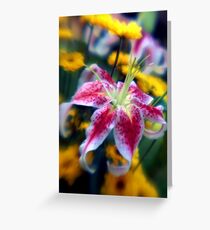 Soft Focus Greeting Card