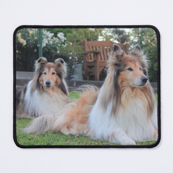 Item preview, Diamond & Gold Collies designed and sold by KarenWoodArt.