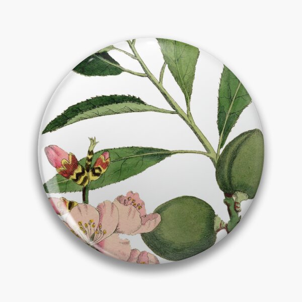Item preview, Almond illustration | wedding flowers | Flowers | Vintage flowers minmalist flowering designed and sold by WeddingStuffArt.