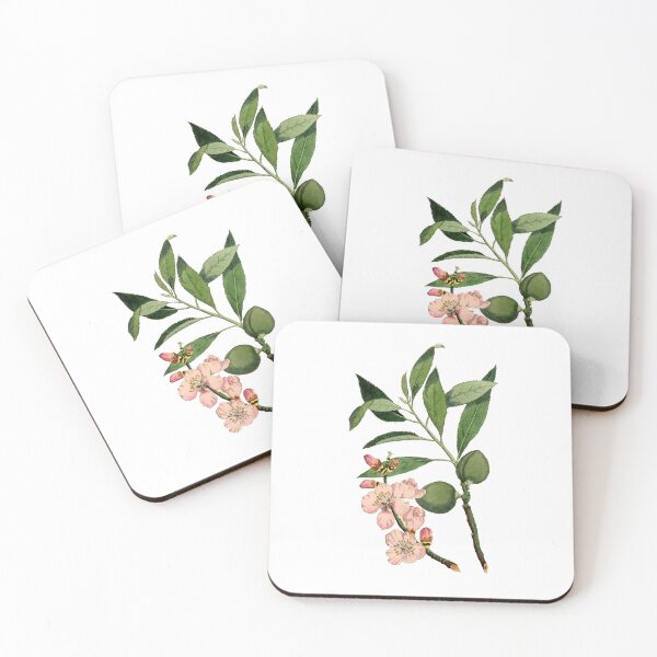 Item preview, Almond illustration | wedding flowers | Flowers | Vintage flowers minmalist flowering designed and sold by WeddingStuffArt.