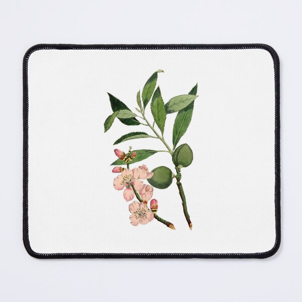 Item preview, Almond illustration | wedding flowers | Flowers | Vintage flowers minmalist flowering designed and sold by WeddingStuffArt.