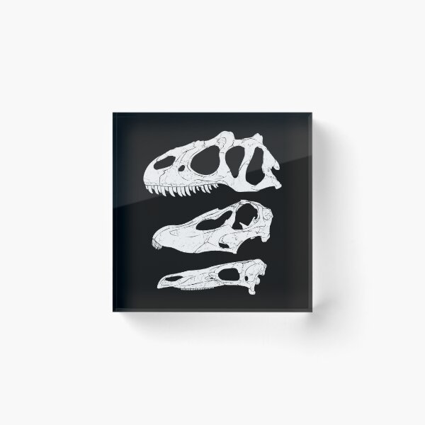 Item preview, Allosaurus Diplodocus Stegosaurus fossil designed and sold by NicGrayGraphic.