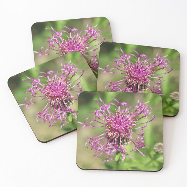 Item preview, Natur, Pflanze, Blüte, lilia, Fotografie, BebiCervin designed and sold by BebiCervin.