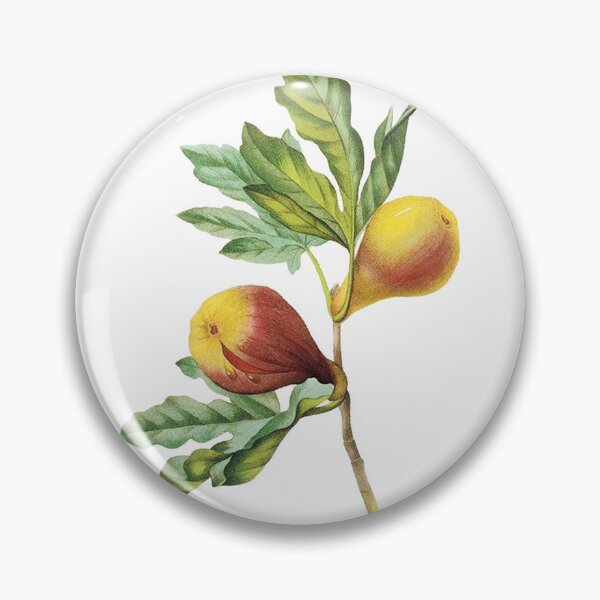 Item preview, Fig | Fig Wedding | Fig-fruit | Fig illustration | flowers-wedding | Wedding decoration designed and sold by WeddingStuffArt.