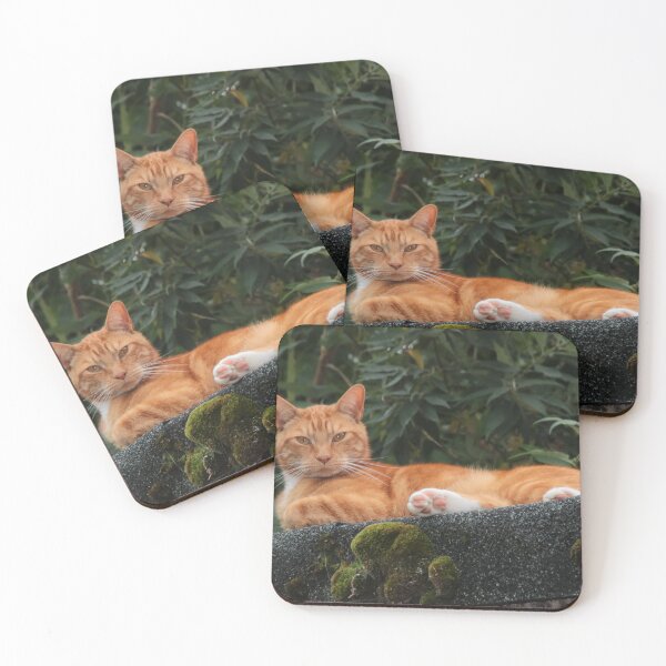 Item preview, Ginger Cat designed and sold by AnnDixon.