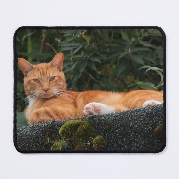 Item preview, Ginger Cat designed and sold by AnnDixon.