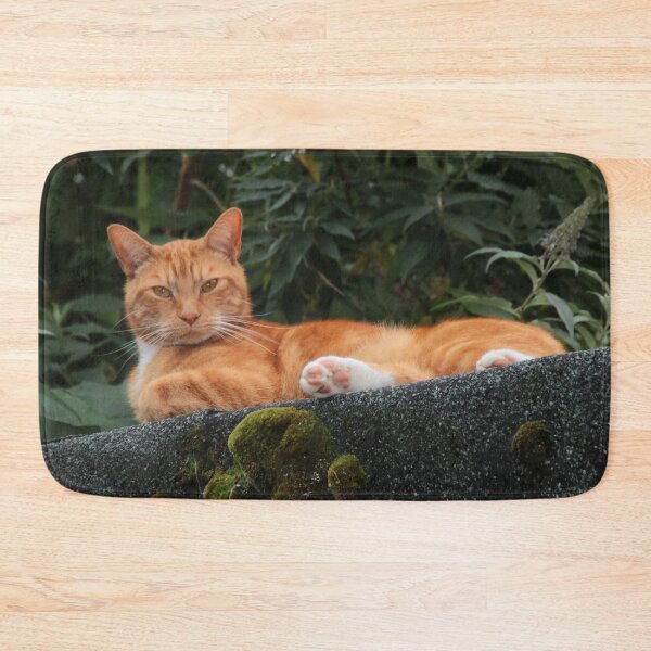 Item preview, Ginger Cat designed and sold by AnnDixon.