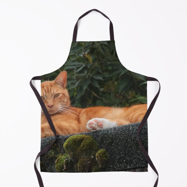 Item preview, Ginger Cat designed and sold by AnnDixon.
