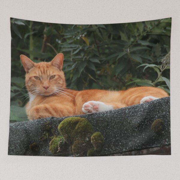 Item preview, Ginger Cat designed and sold by AnnDixon.