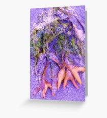 beach treasure Greeting Card
