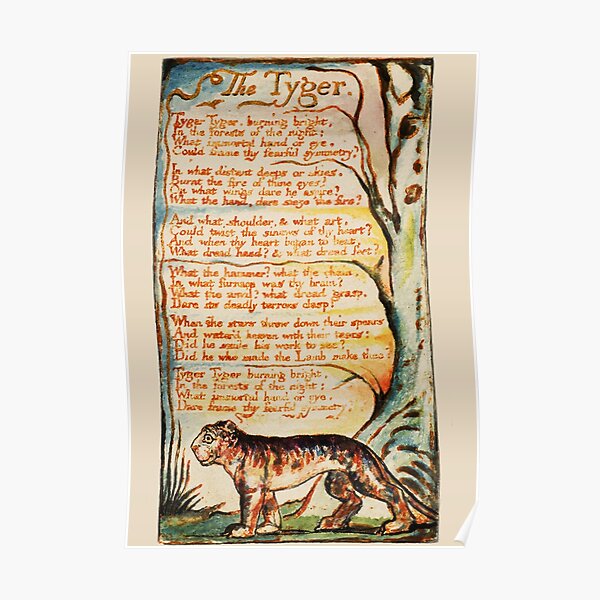 The Tyger - William Blake:  Poster