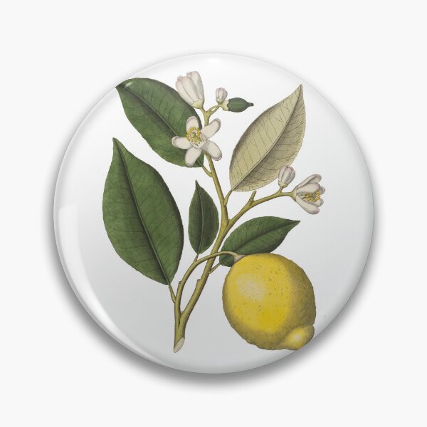 Item preview, Wedding | Lemon Wedding | Lemon-flowers | lemon-fruit | Wedding decoration designed and sold by WeddingStuffArt.