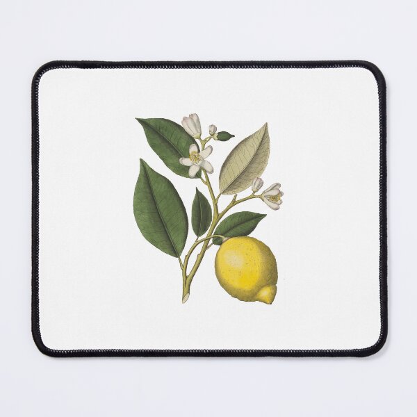 Item preview, Wedding | Lemon Wedding | Lemon-flowers | lemon-fruit | Wedding decoration designed and sold by WeddingStuffArt.