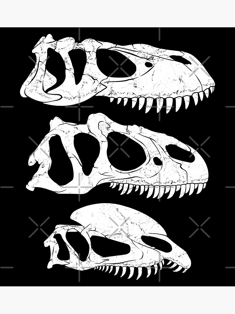 Torvosaurus Allosaurus Dilophosaurus Fossil Sticker For Sale By