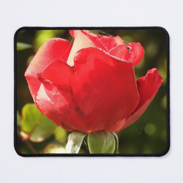 Item preview, WABI SABI designed and sold by lovinglight.