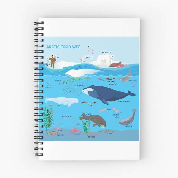 Item preview, Arctic Food Web designed and sold by Peppermint Narwhal.